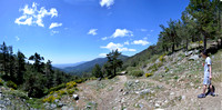 Roman Trail, Cercedilla Park, Spain 2015 Guadarrama Mountains