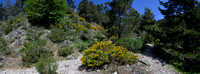 Guadarrama Mountains, Spain